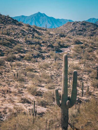 Arizona