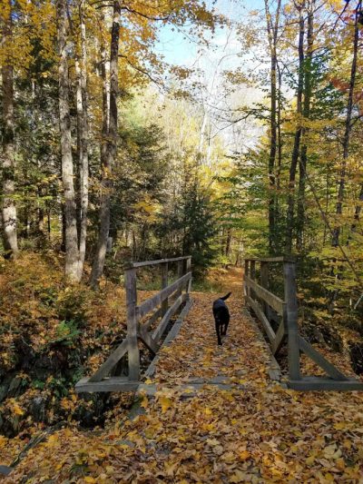 Vermont