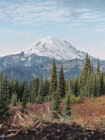 Washington