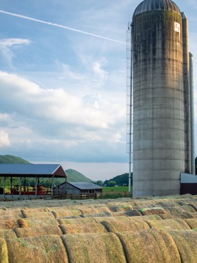 West Virginia